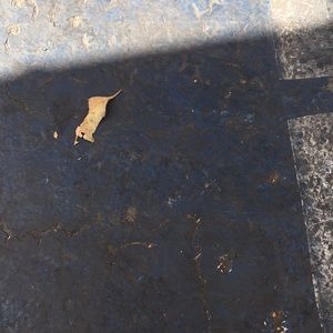 Meet your Posher, Bryan